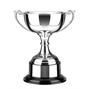 Silver Plated Trophy thumbnail